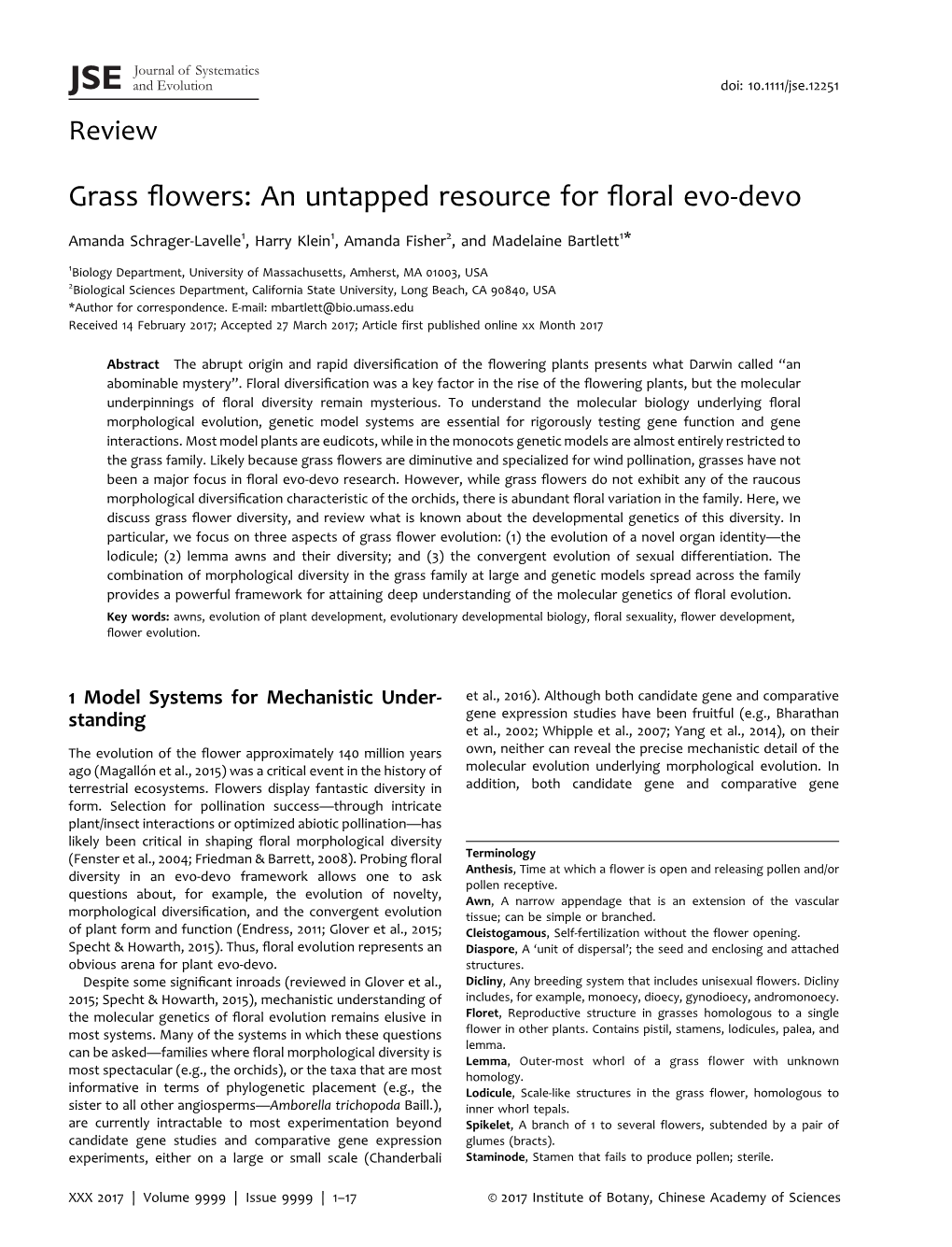 Grass Flowers: an Untapped Resource for Floral Evo-Devo