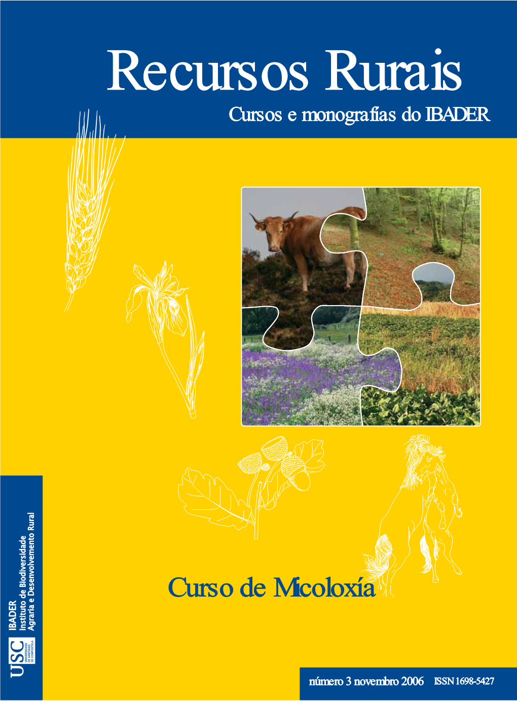 Bioacumulación De Metales Pesados Y Otros Contaminantes En Macromicetos