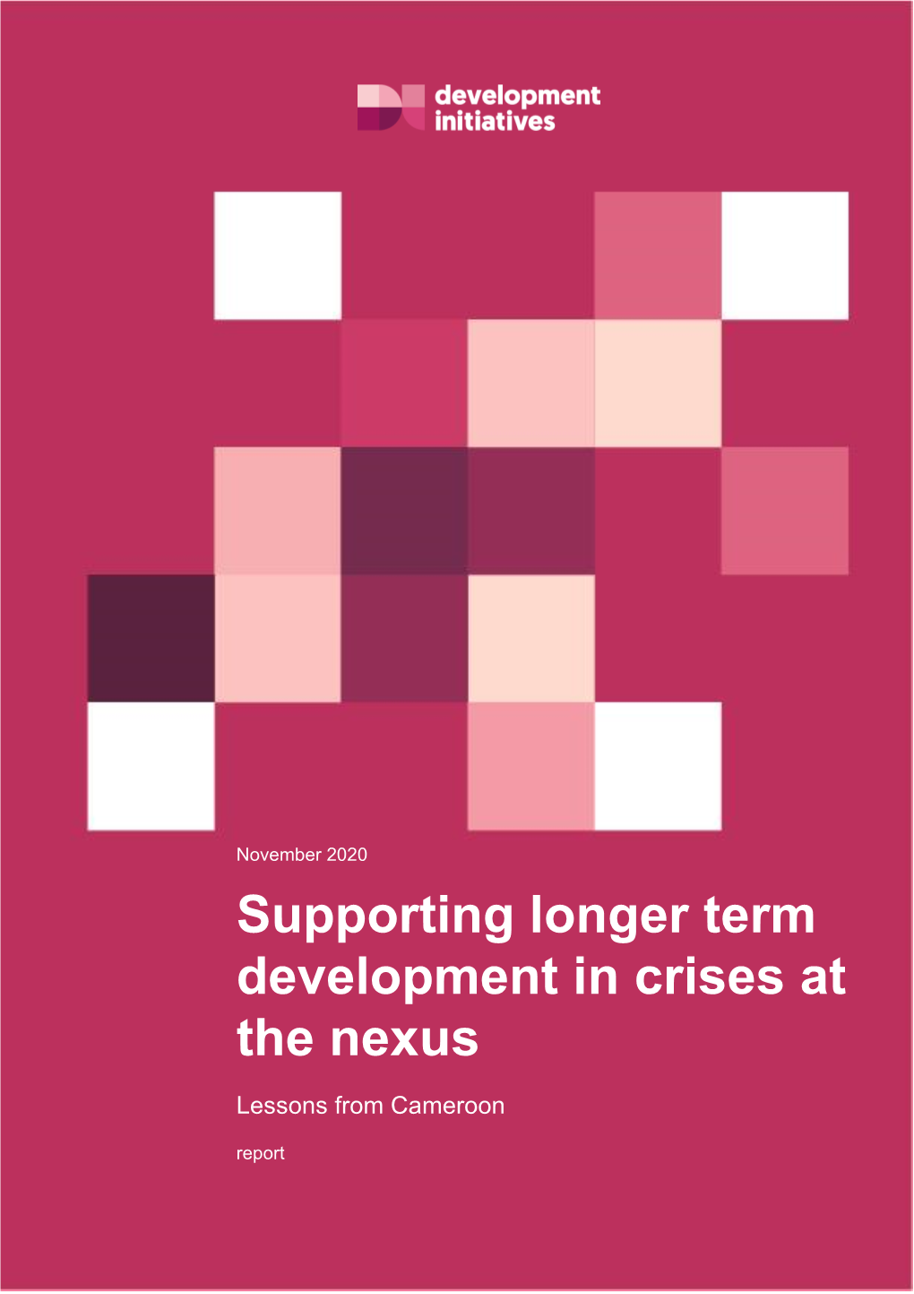 Supporting Longer Term Development in Crises at the Nexus