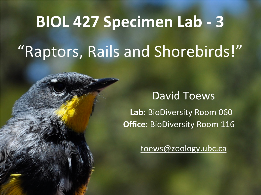 David Toews Lab: Biodiversity Room 060 Oﬃce: Biodiversity Room 116