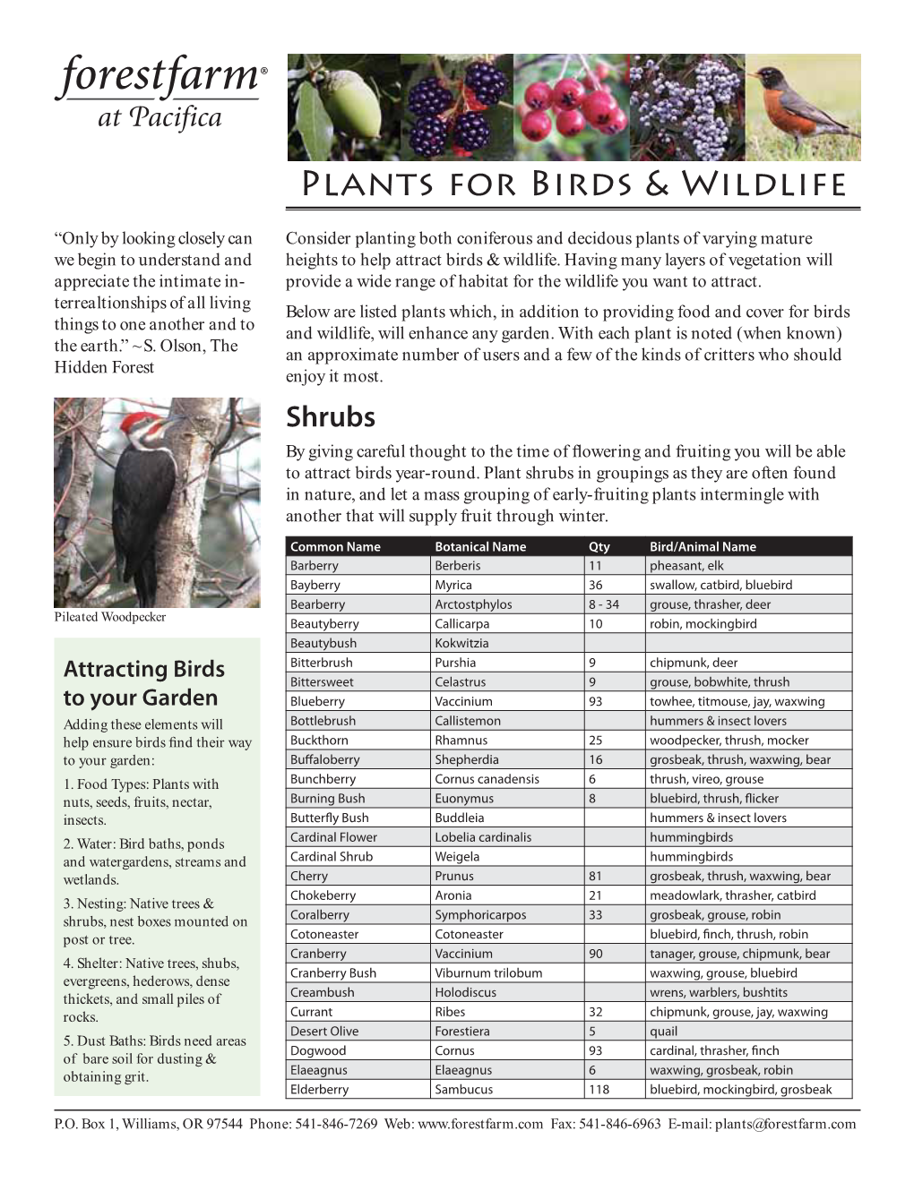 Plants for Birds & Wildlife