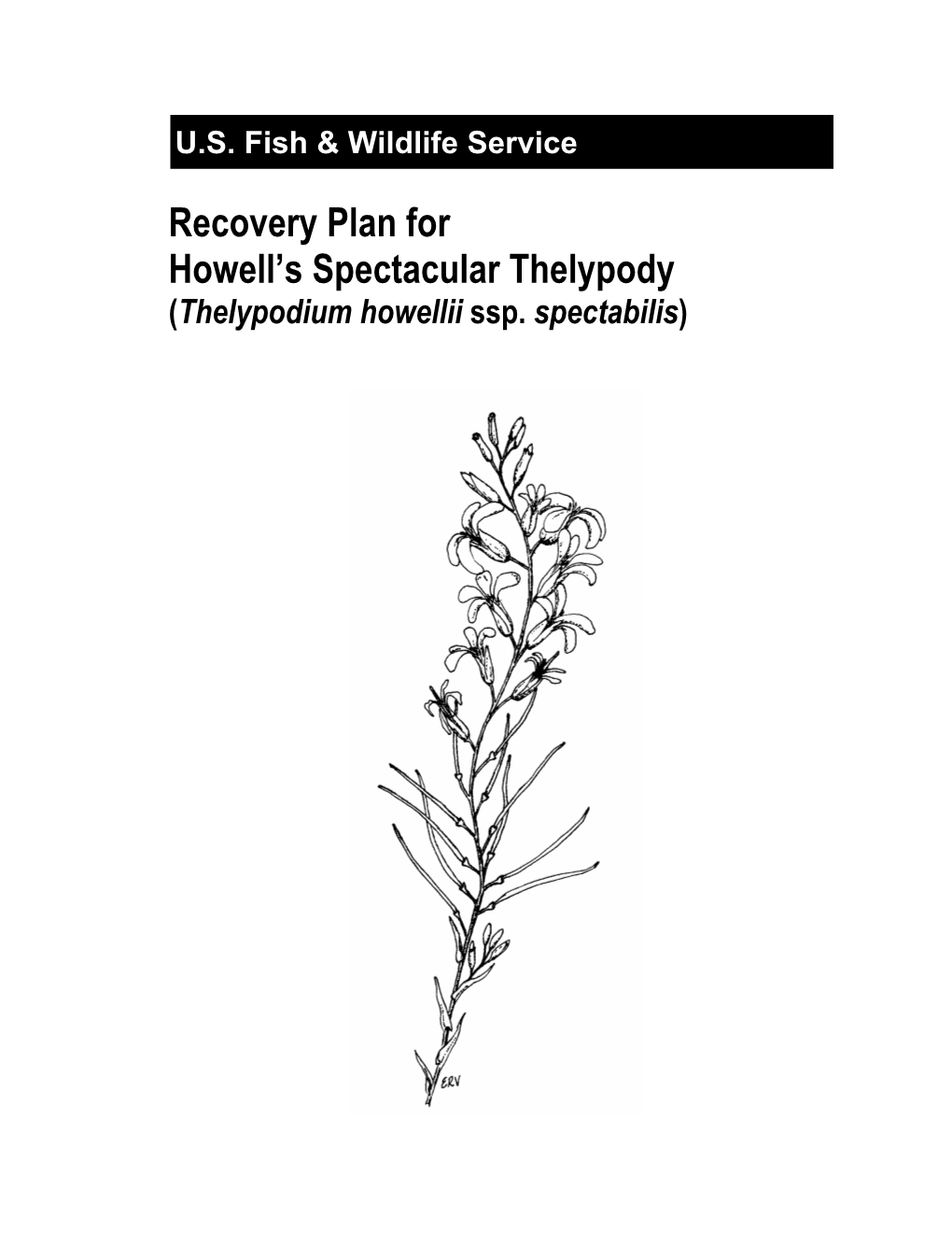 Recovery Plan for Howell's Spectacular Thelypody