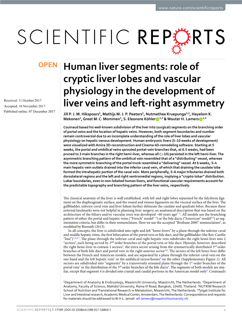 Human Liver Segments: Role of Cryptic Liver Lobes and Vascular Physiology