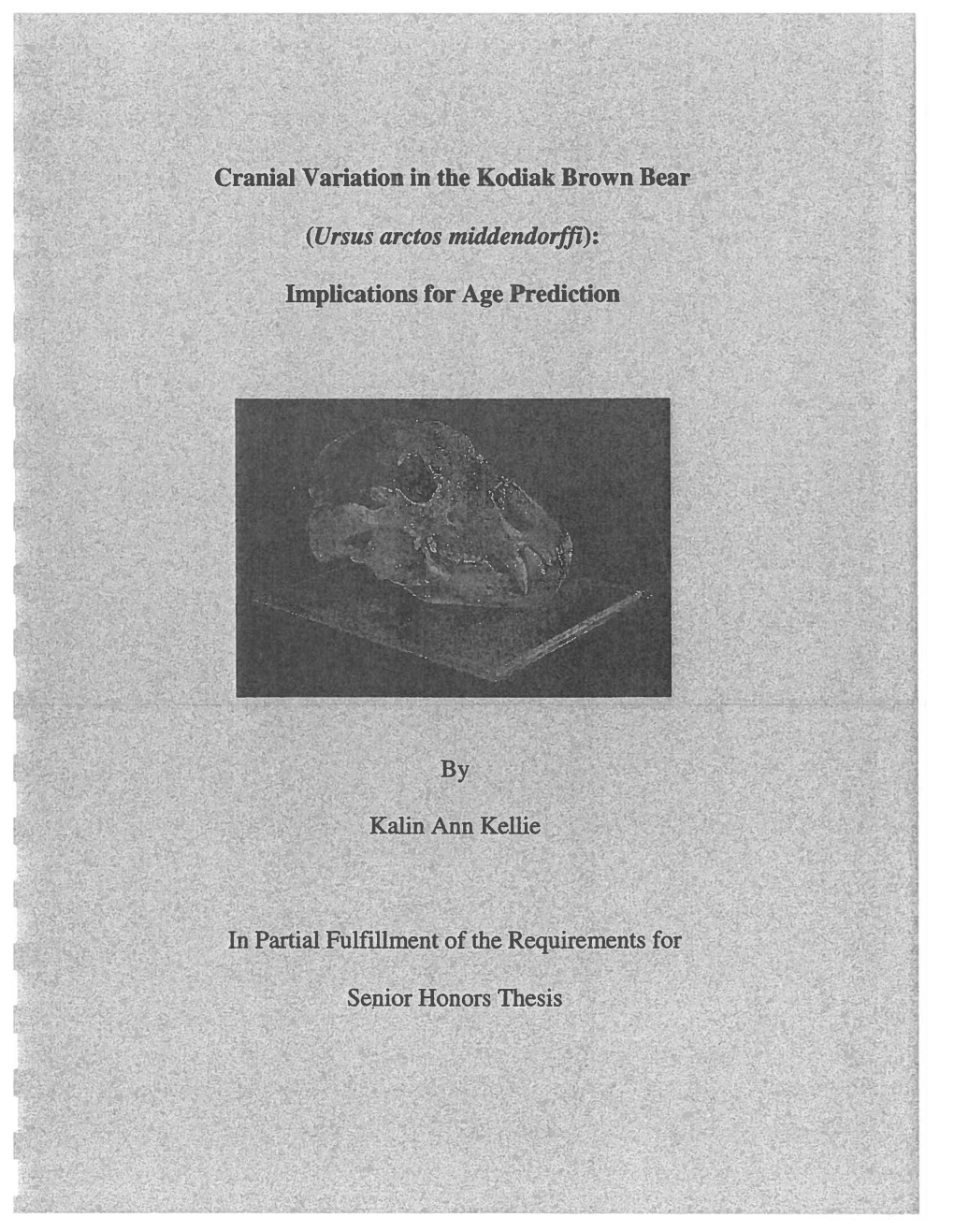 Cranial Variation in the Kodiak Brown Bear (Ursus Arctos Middendorffi