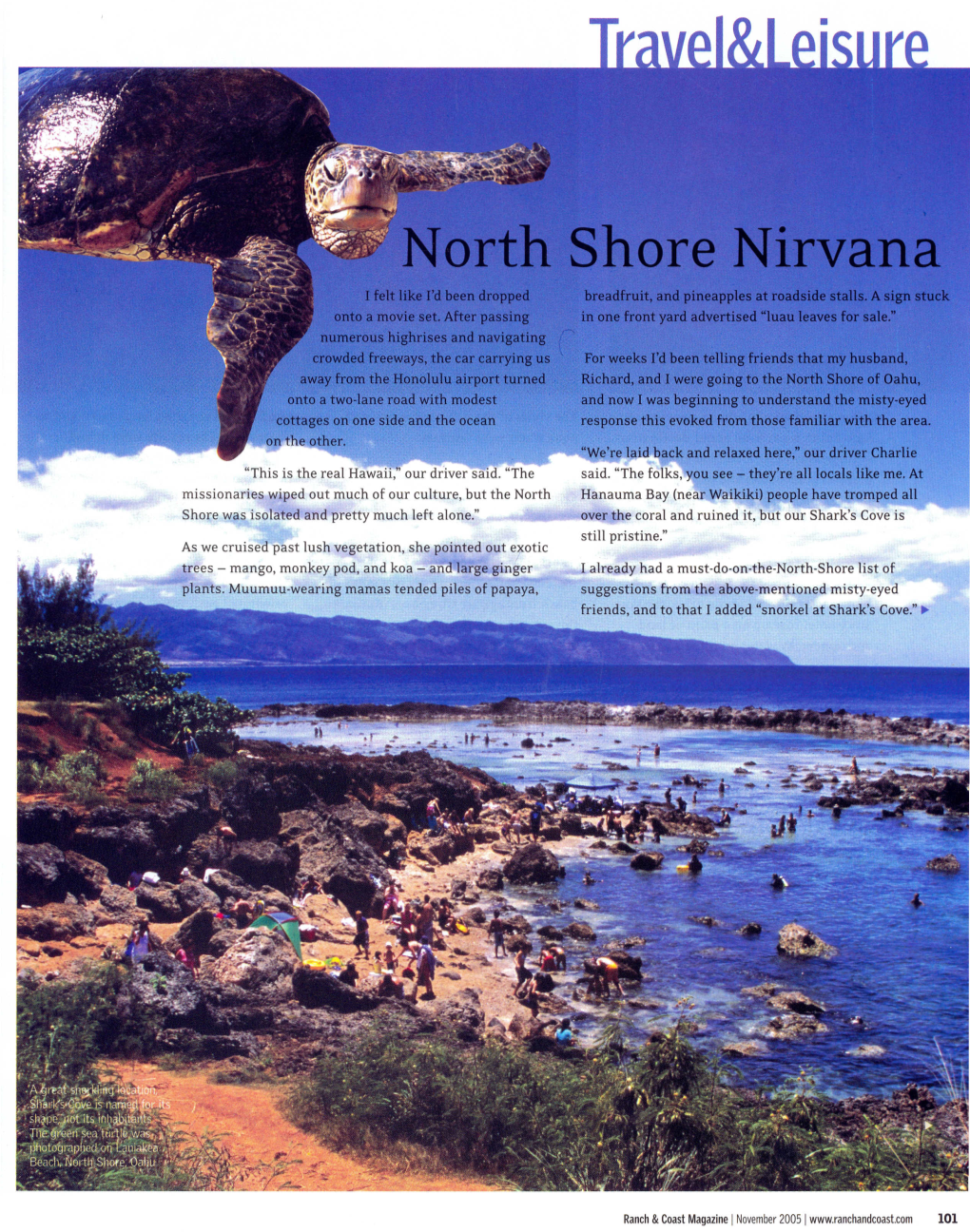 North Shore Nirvana