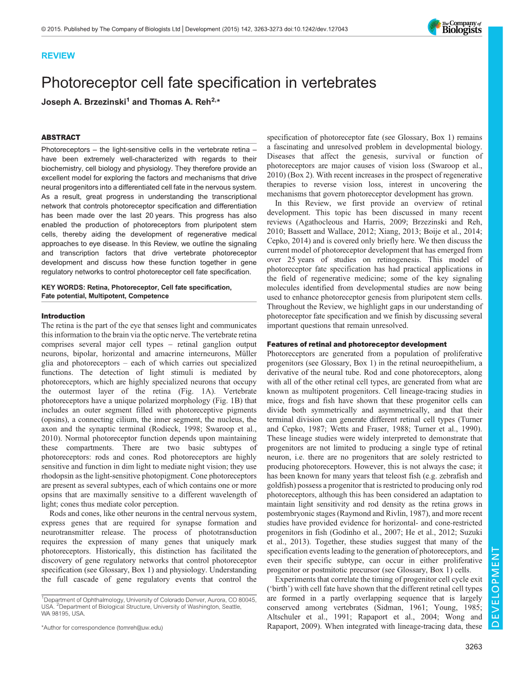 Photoreceptor Cell Fate Specification in Vertebrates Joseph A