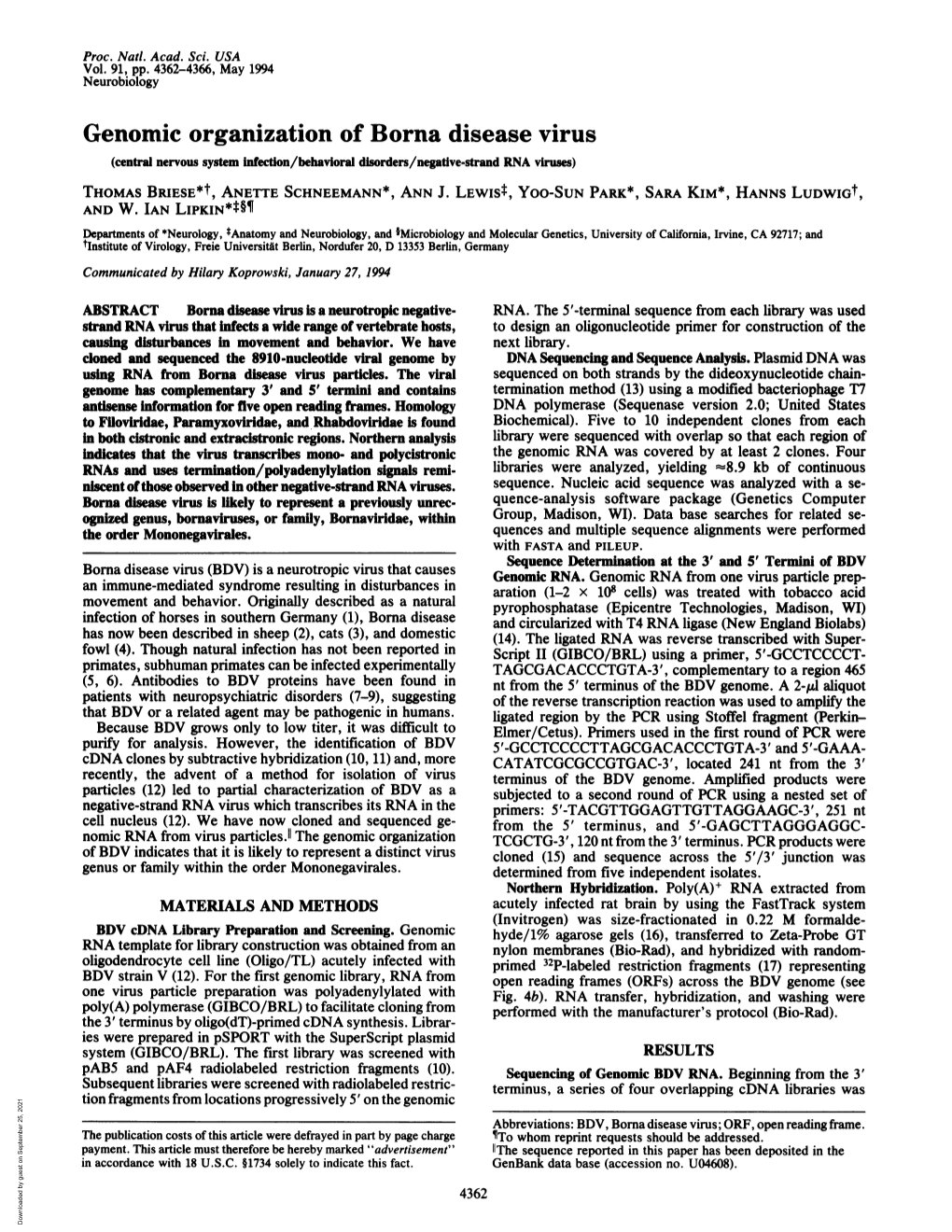 Genomic Organization of Borna Disease Virus