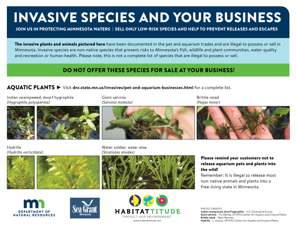 Invasive Species and Your Business Join Us in Protecting Minnesota Waters | Sell Only Low-Risk Species and Help to Prevent Releases and Escapes