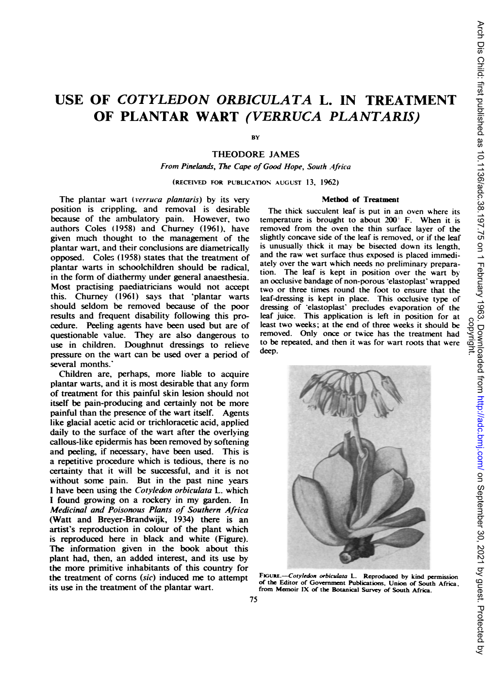 Use of Cotyledon Orbiculata L. in Treatment of Plantar Wart (Verruca Plantaris)