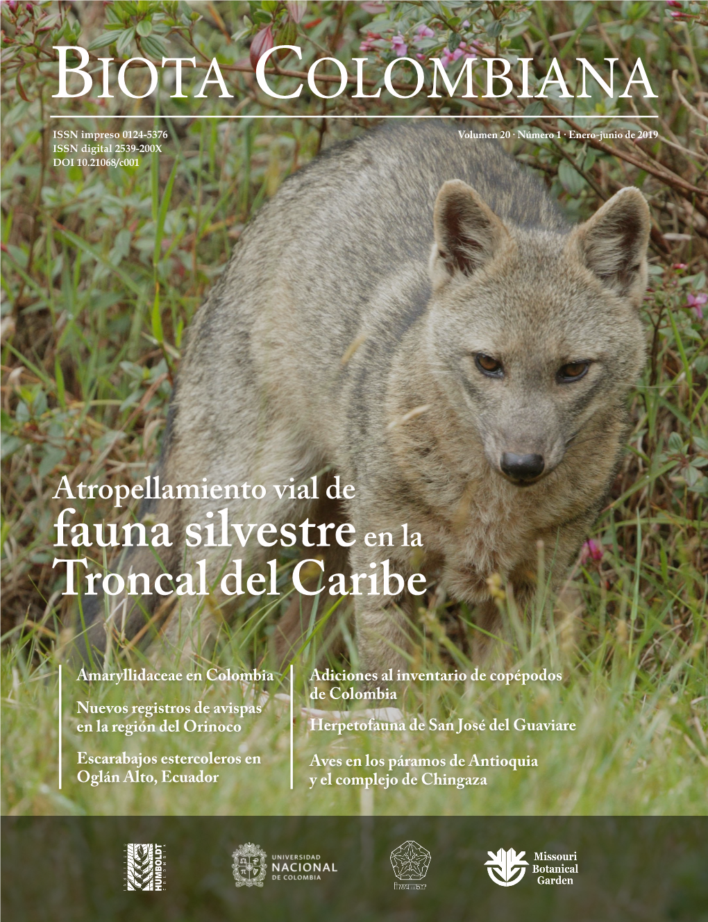 BIOTA COLOMBIANA ISSN Impreso 0124-5376 Volumen 20 · Número 1 · Enero-Junio De 2019 ISSN Digital 2539-200X DOI 10.21068/C001