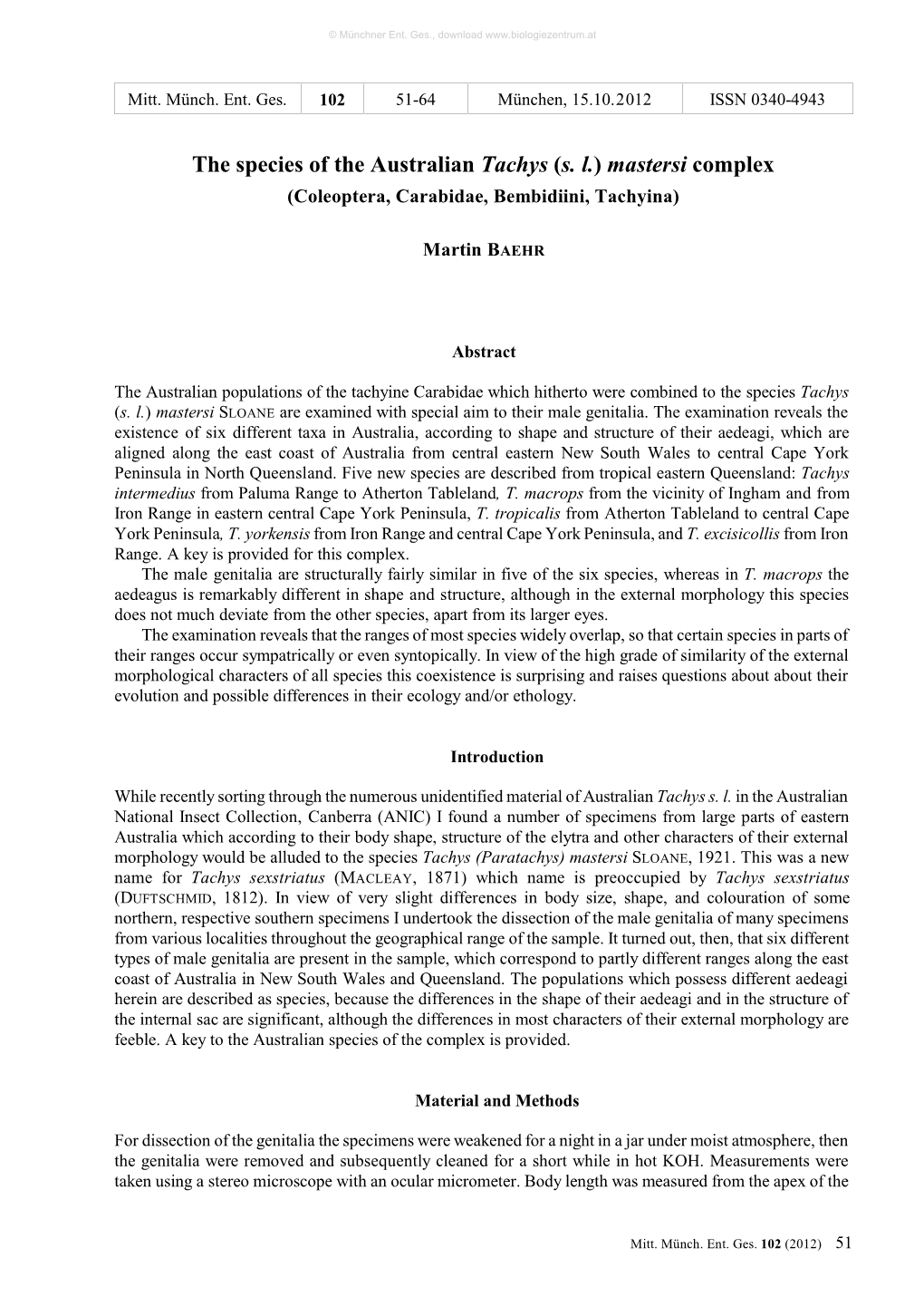 The Species of the Australian Tachys (S. L.) Mastersi Complex (Coleoptera, Carabidae, Bembidiini, Tachyina)