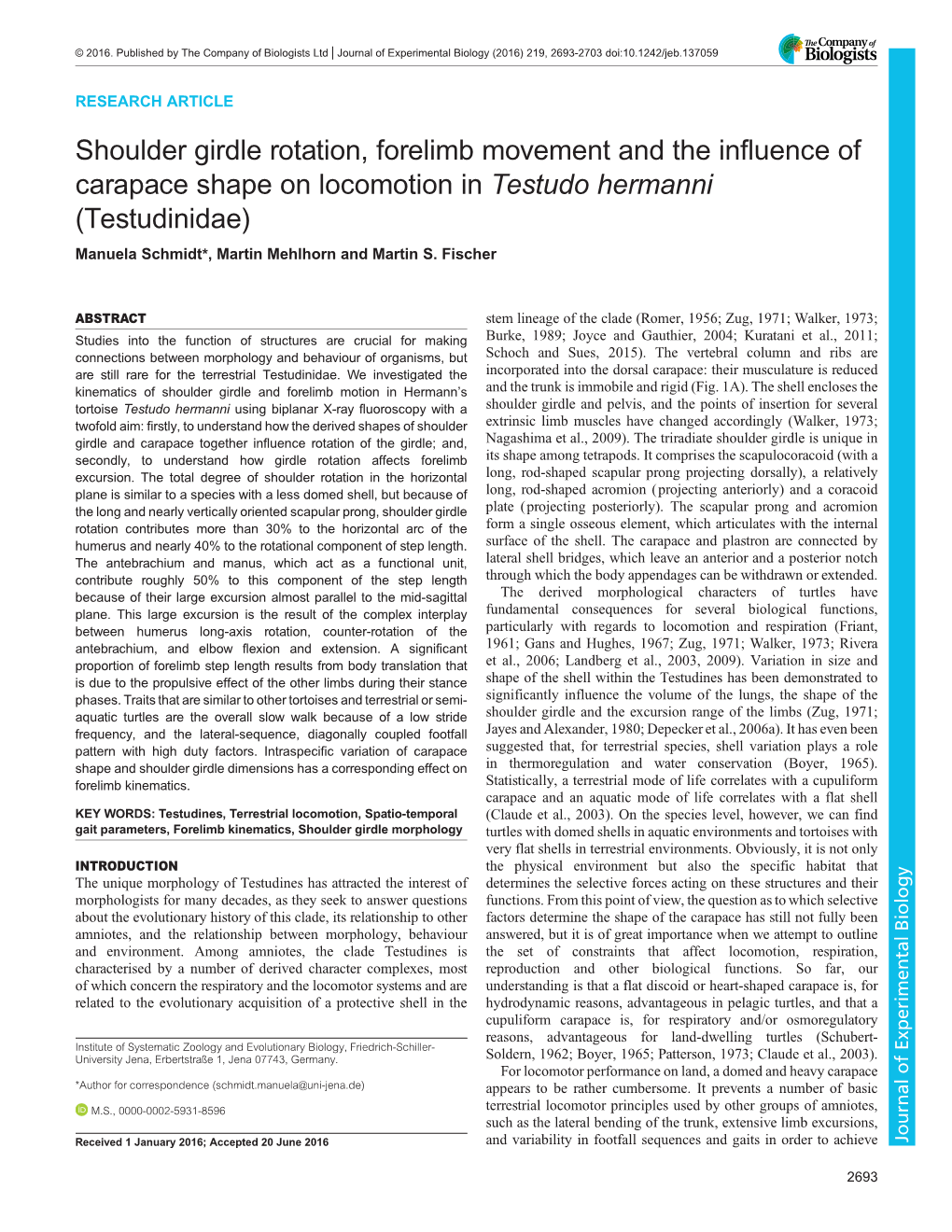 Shoulder Girdle Rotation, Forelimb Movement and the Influence Of