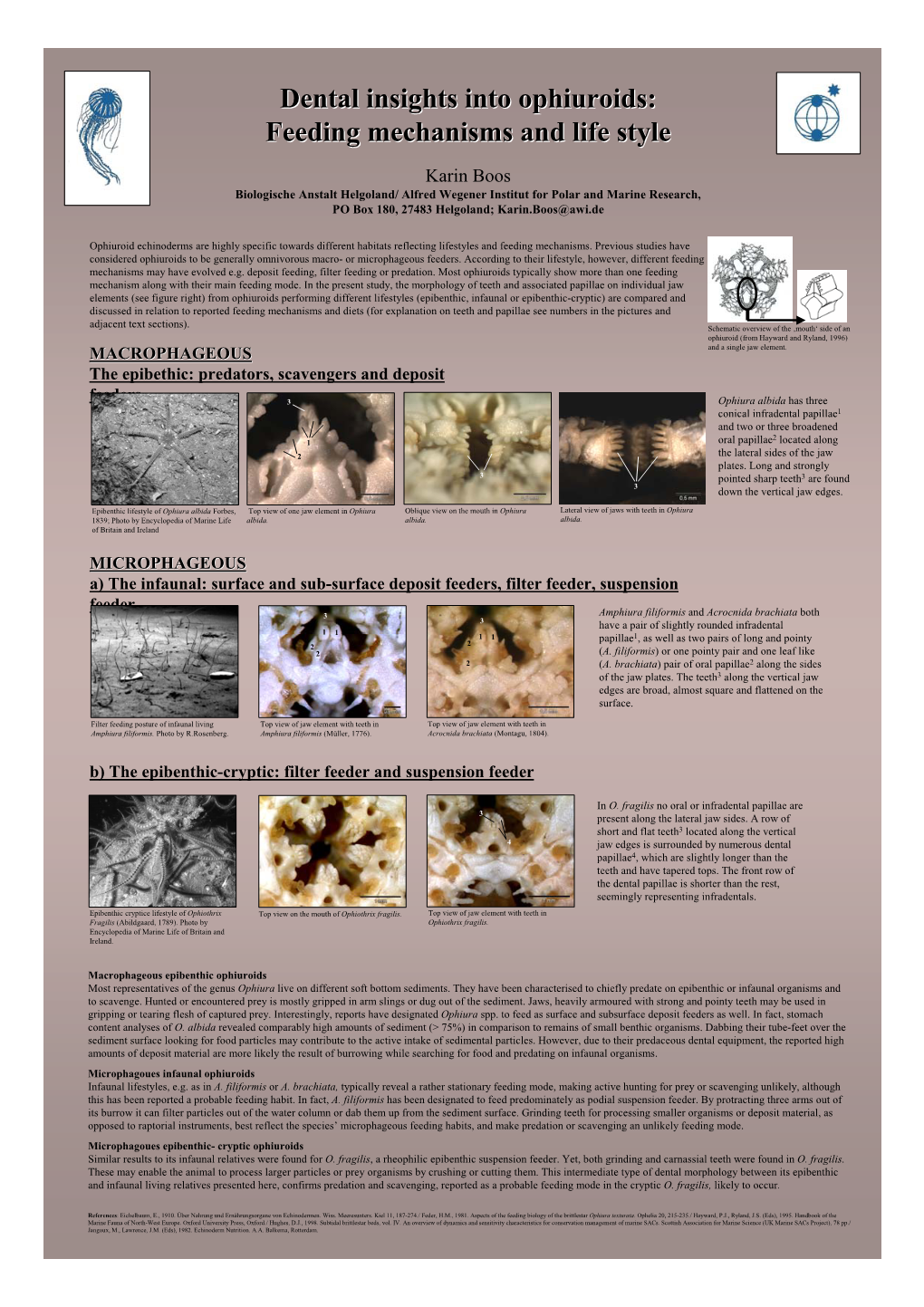 Dental Insights Into Ophiuroids: Feeding Mechanisms and Life Style