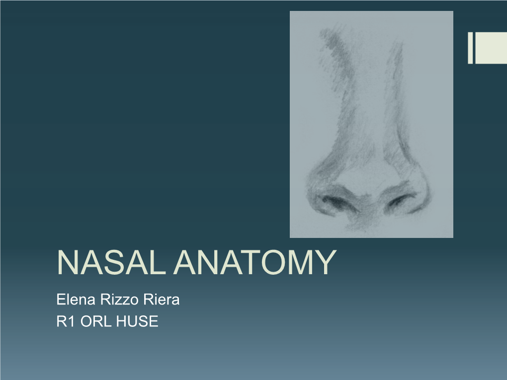 NASAL ANATOMY Elena Rizzo Riera R1 ORL HUSE NASAL ANATOMY