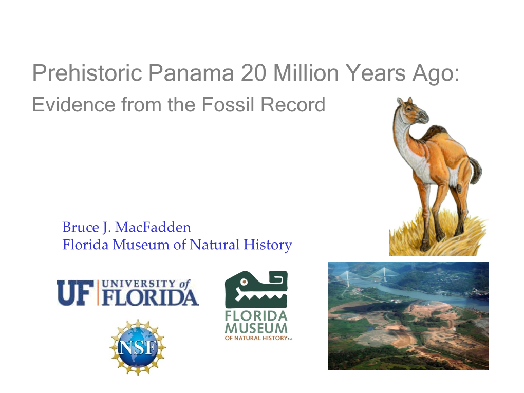 Prehistoric Panama 20 Million Years Ago: Evidence from the Fossil Record