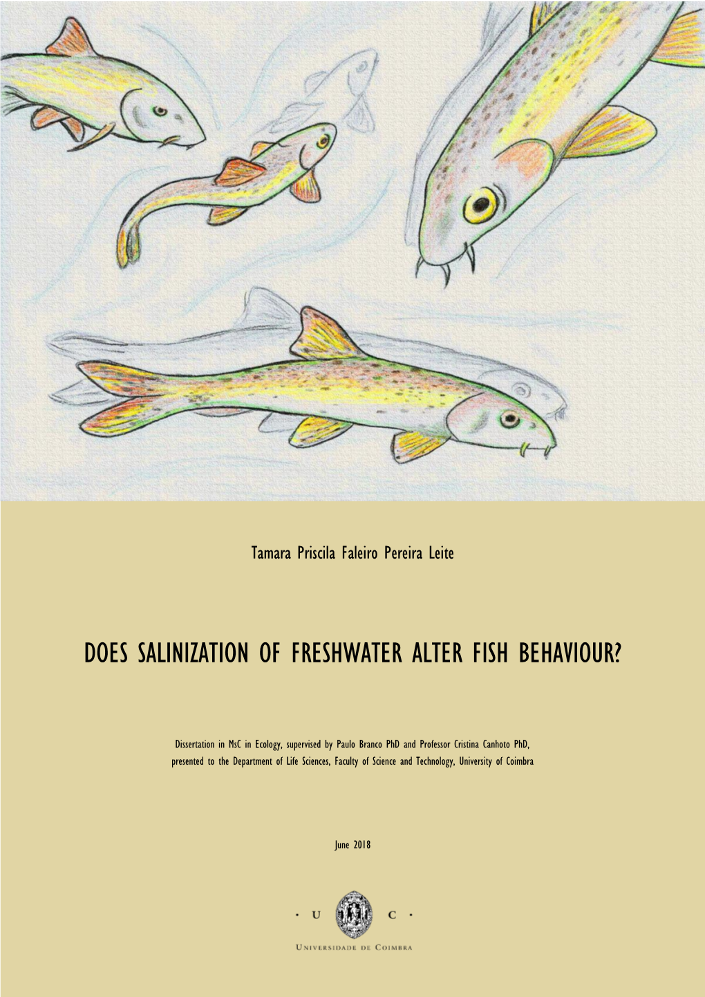 Does Salinization of Freshwater Alter Fish Behaviour?