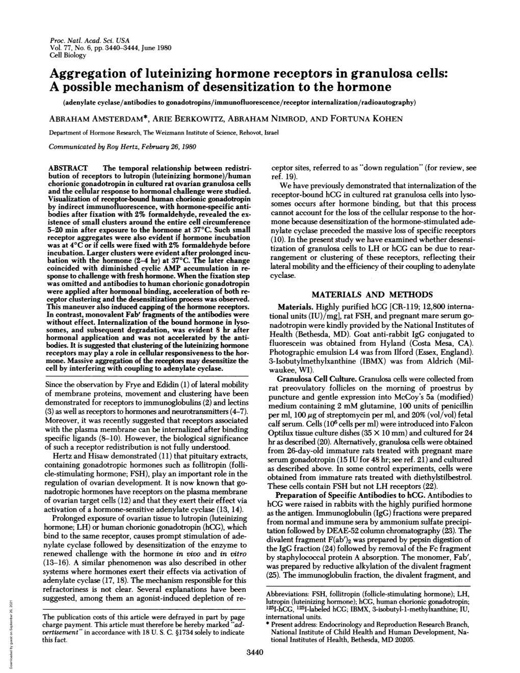 Aggregation of Luteinizing Hormone Receptors in Granulosa Cells