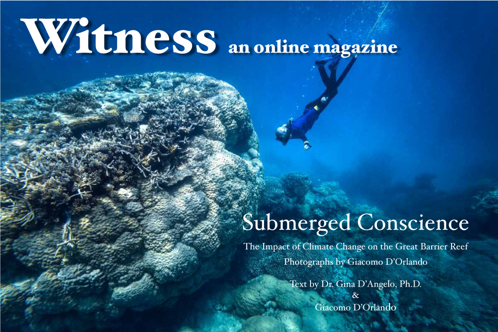 Submerged Conscience: the Impact of Climate Change