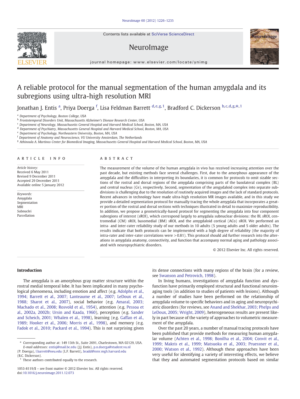 A Reliable Protocol for the Manual Segmentation of the Human Amygdala and Its Subregions Using Ultra-High Resolution MRI