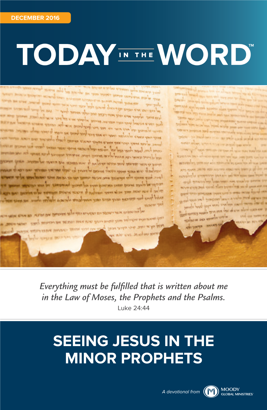 Seeing Jesus in the Minor Prophets