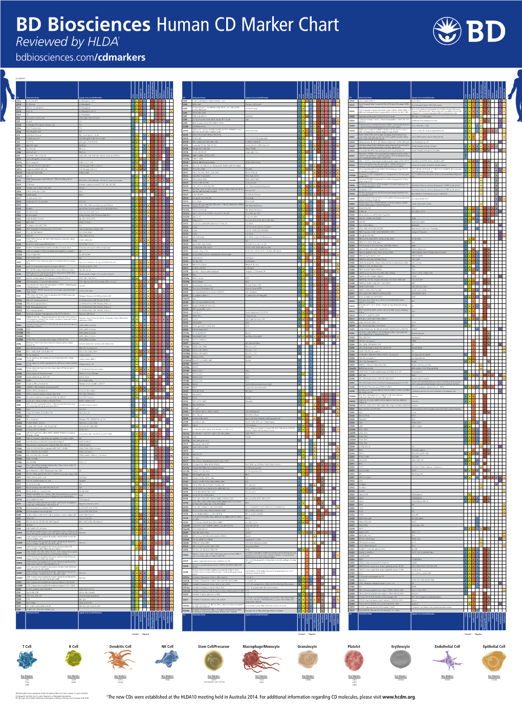 Human CD Marker Chart Reviewed by HLDA1 Bdbiosciences.Com/Cdmarkers