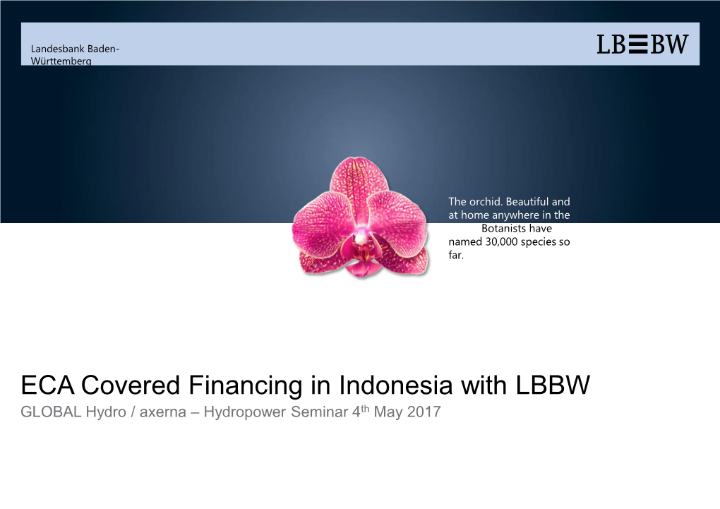 ECA Covered Financing in Indonesia with LBBW GLOBAL Hydro / Axerna – Hydropower Seminar 4Th May 2017 Landesbank Baden-Württemberg | Page 2
