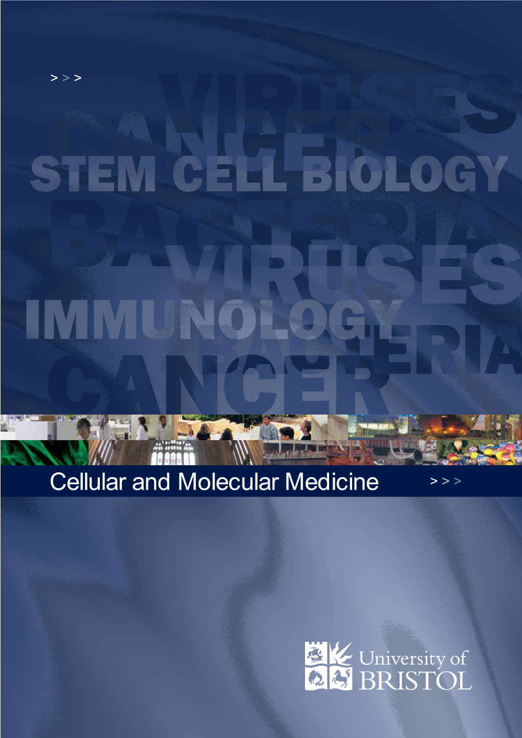 Cellular and Molecular Medicine > > > the Bsc Degree Programmes Cancer Biology (B190)