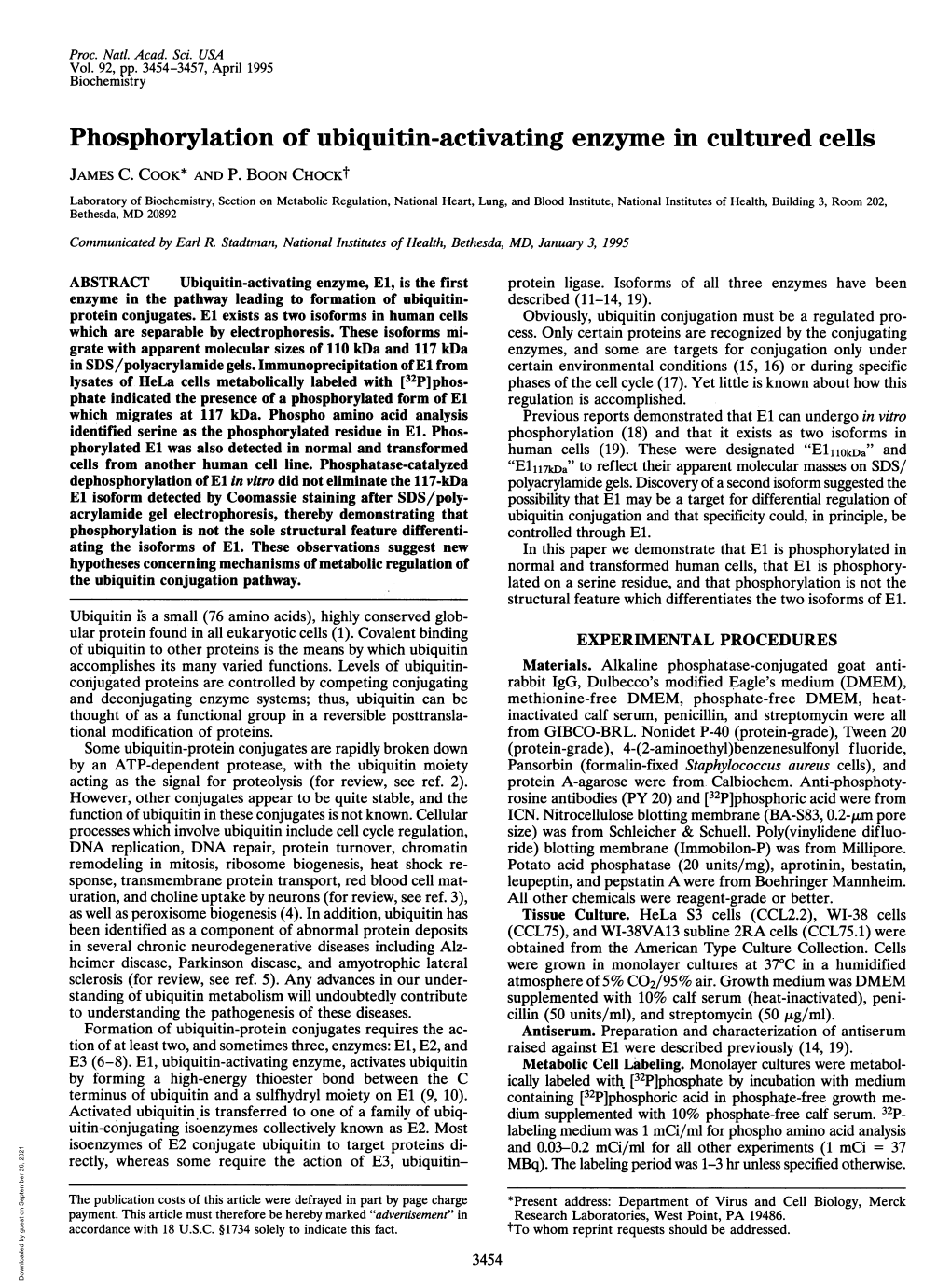 Phosphorylation of Ubiquitin-Activating Enzyme in Cultured Cells