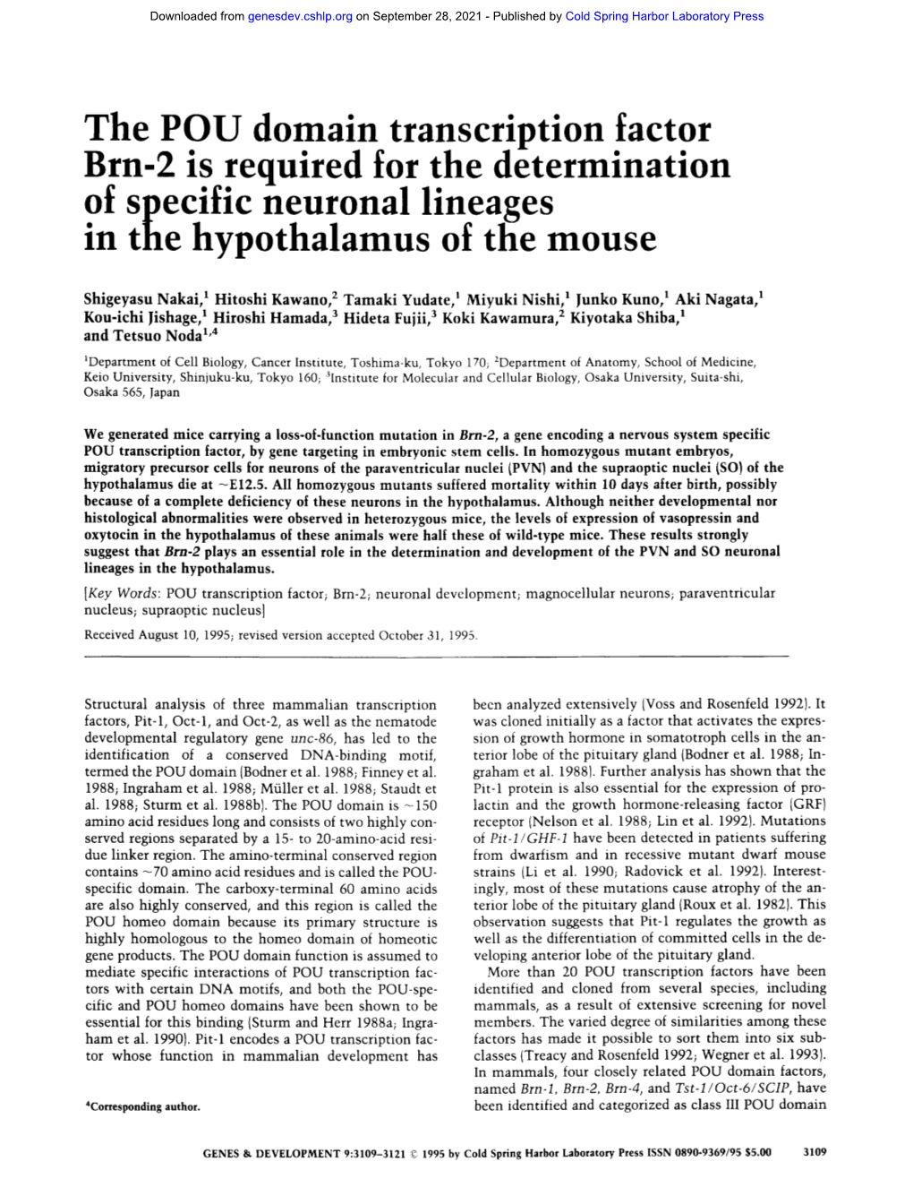 The POU Domain Transcription Factor Brn- Is Required for the Determination of Specific Neuronal Lineages M the Hypothalamus of the Mouse