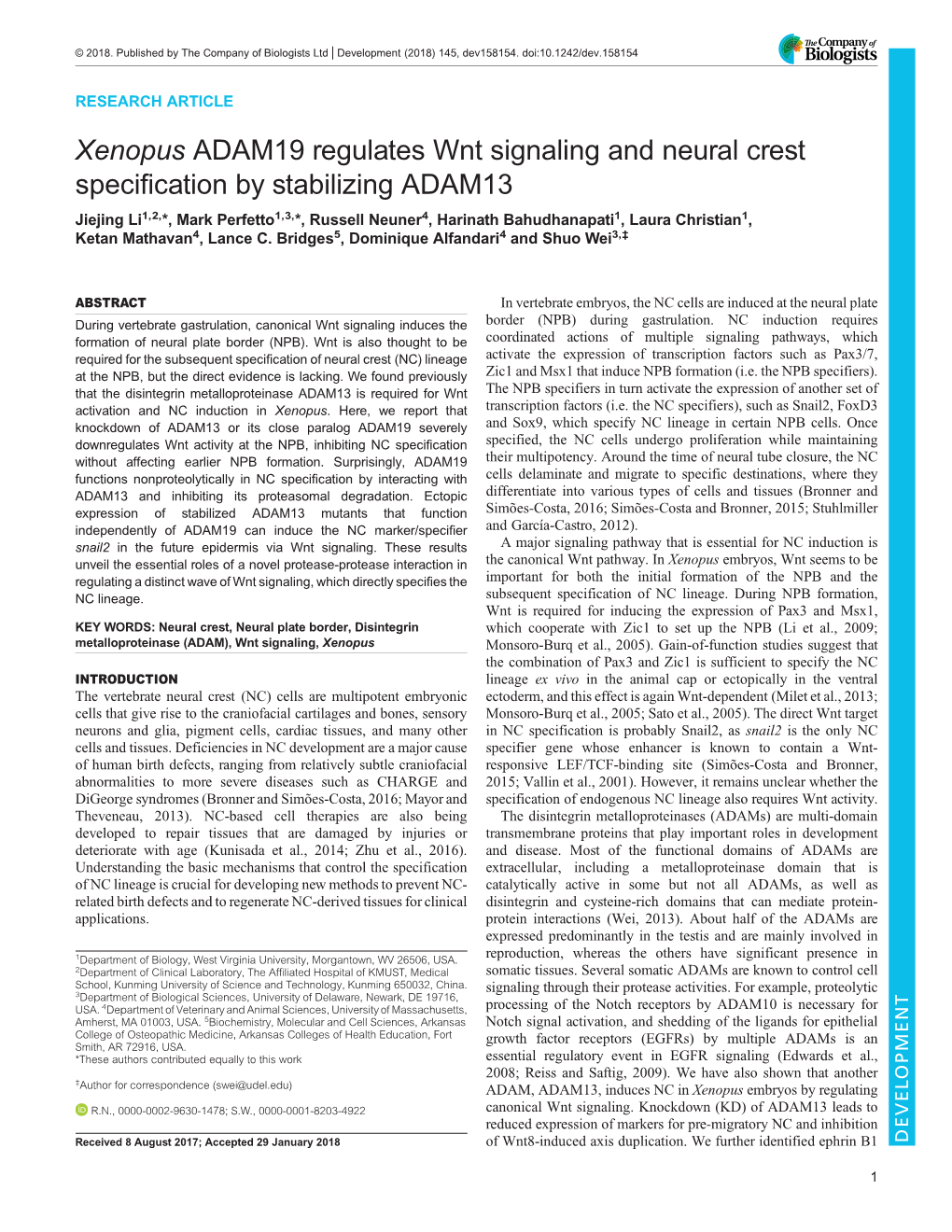 Xenopus ADAM19 Regulates Wnt Signaling and Neural Crest