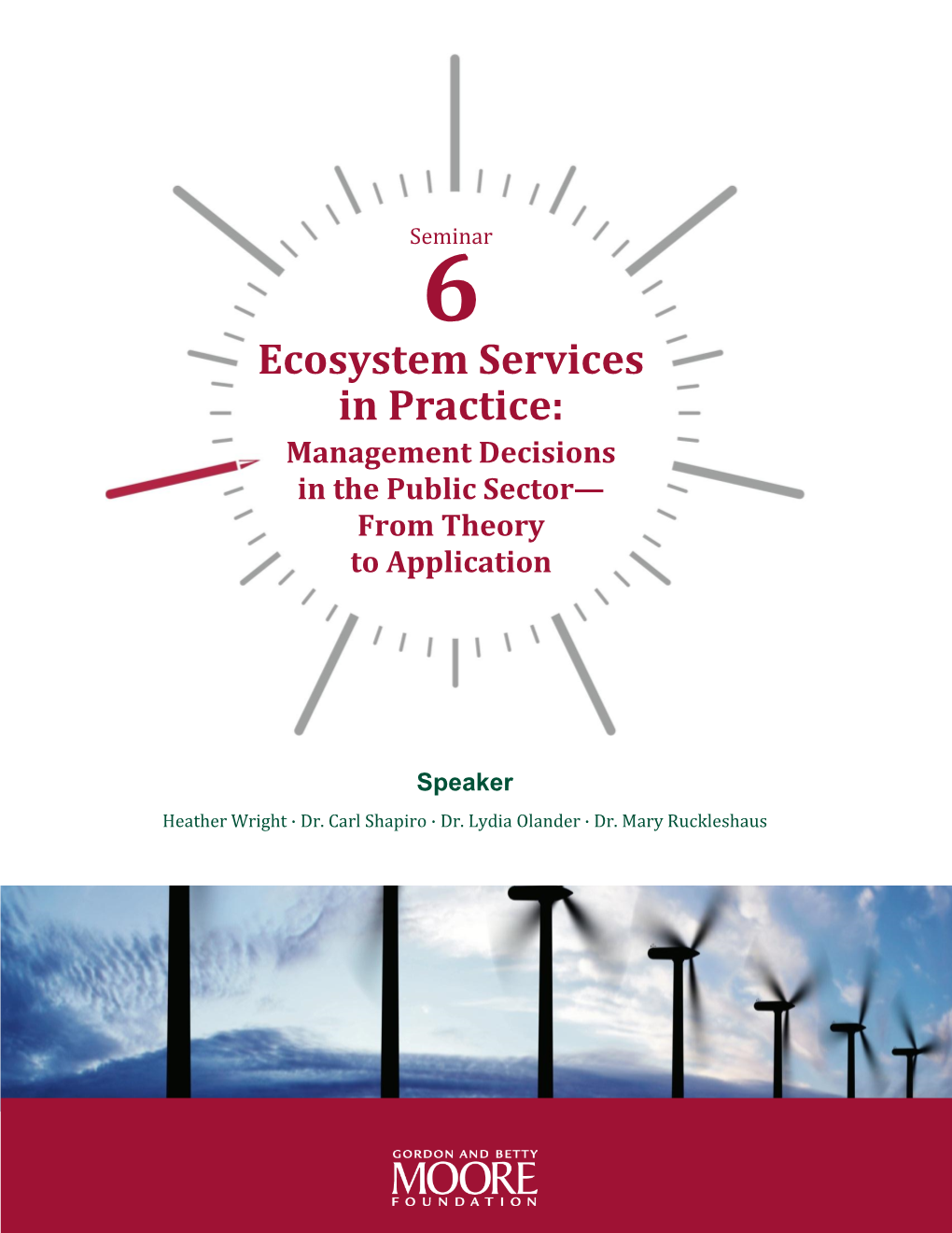 Ecosystem Services in Practice: Management Decisions in the Public Sector— from Theory to Application