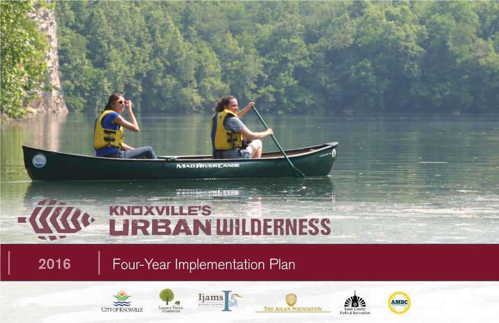 Four-Year Implementation Plan 2016