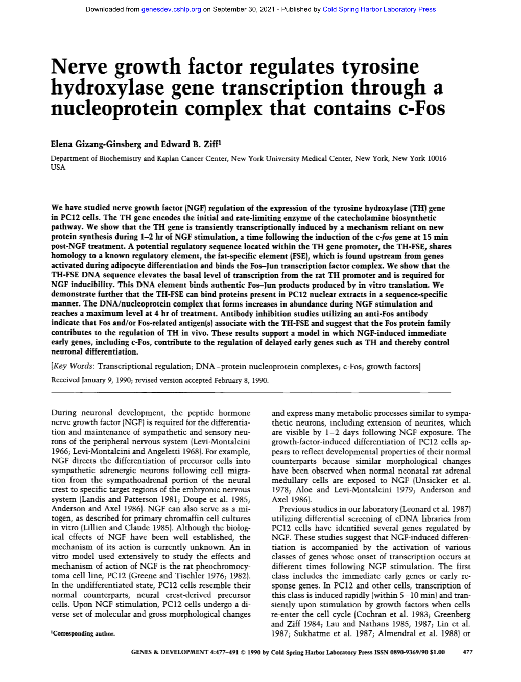 Nerve Growth Factor Regulates Tyrosine Hydroxylase Gene Transcription Through a Nucleoprotein Complex That Contains C-Fos