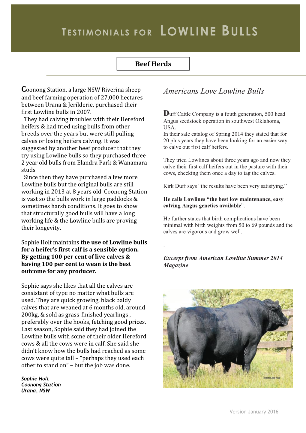 Testimonials for Lowline Bulls – Beef Herds
