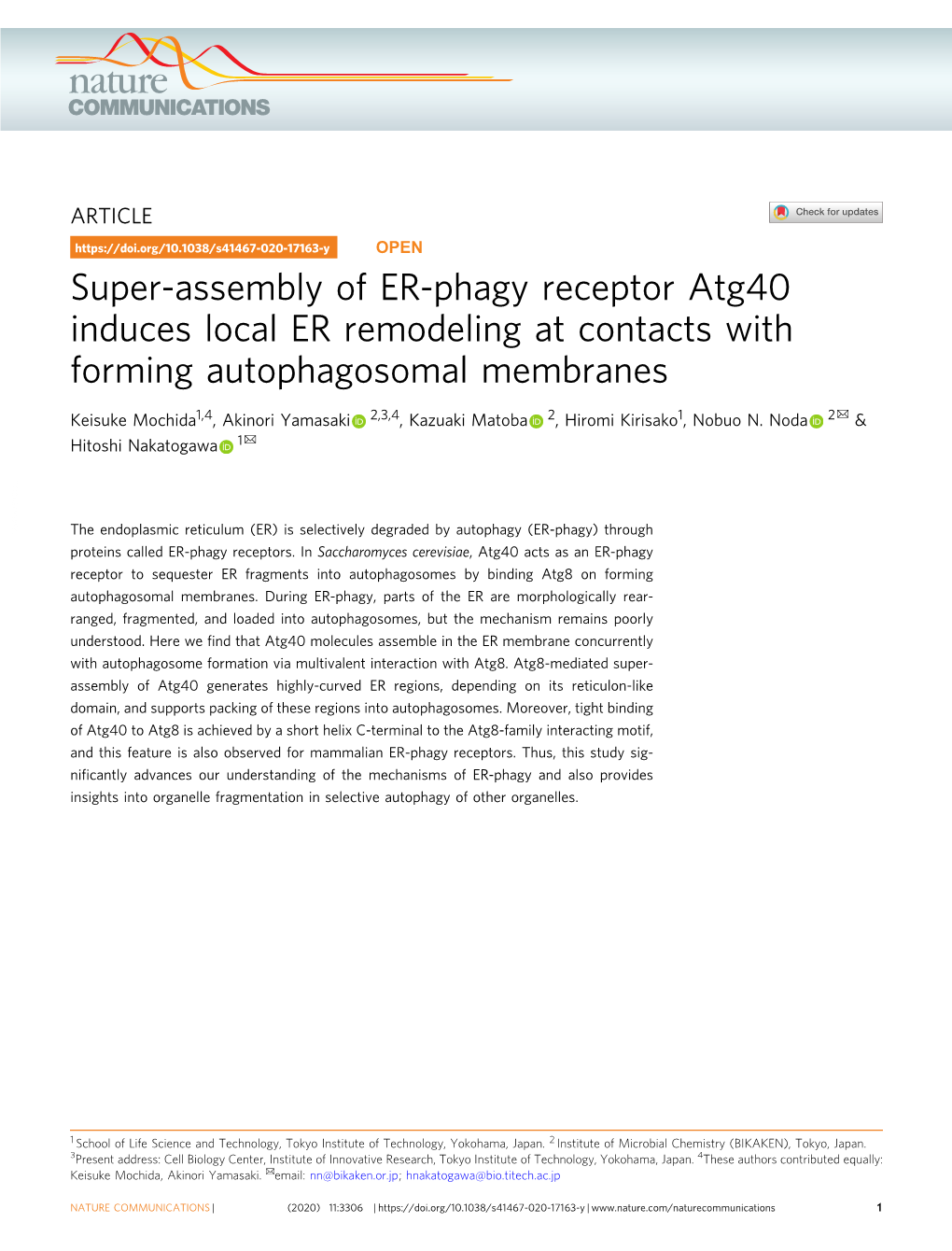 Super-Assembly of ER-Phagy Receptor Atg40 Induces Local ER Remodeling at Contacts with Forming Autophagosomal Membranes