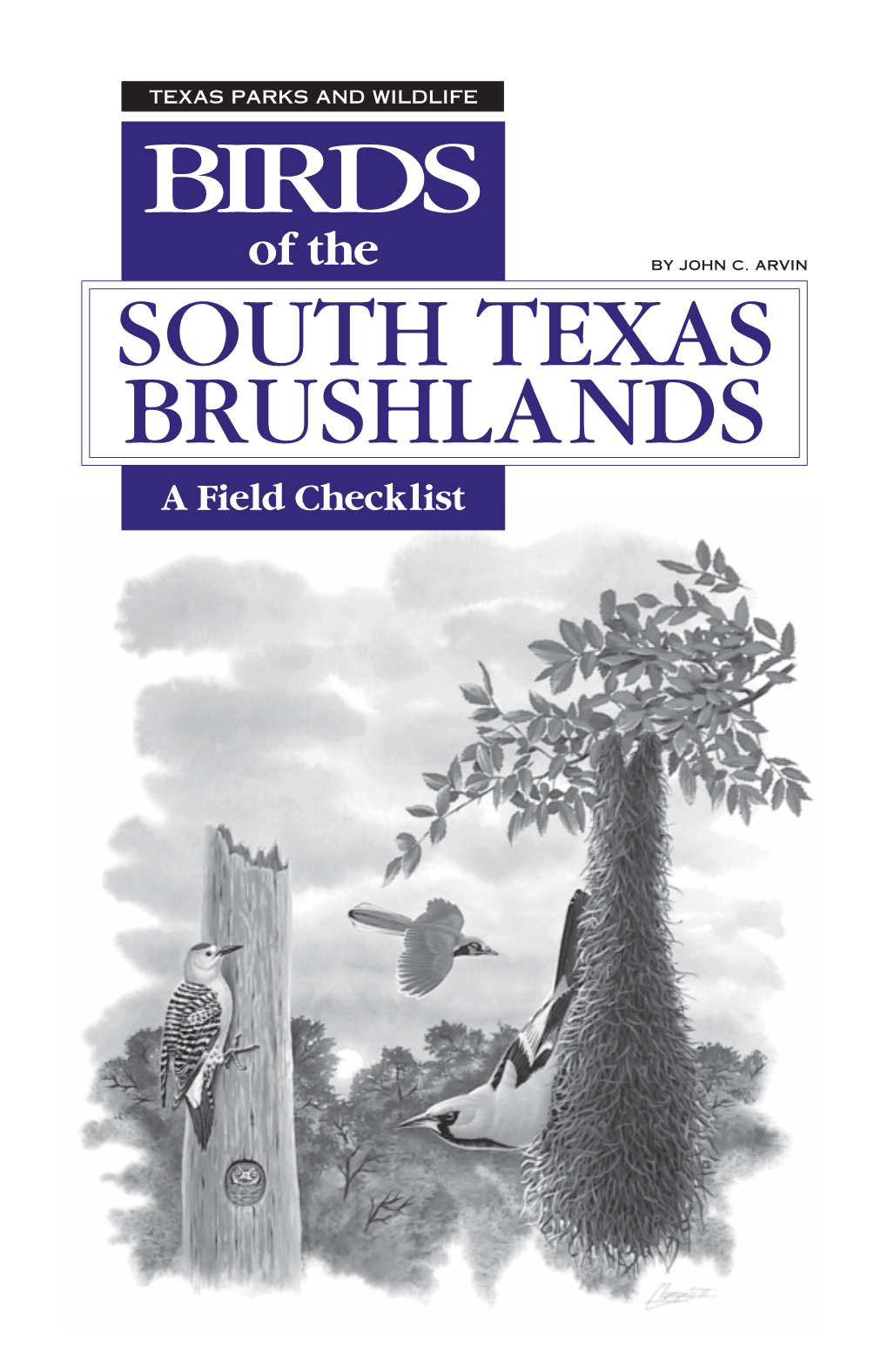 Birds of the South Texas Brushlands