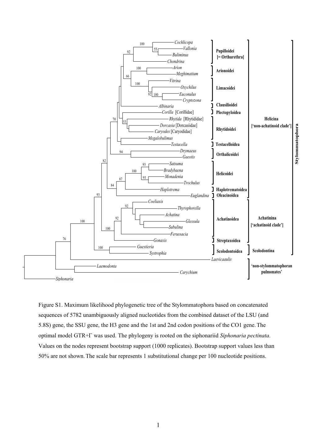 Figure S1. Maximum Likelihood Phylogenetic Tree of The