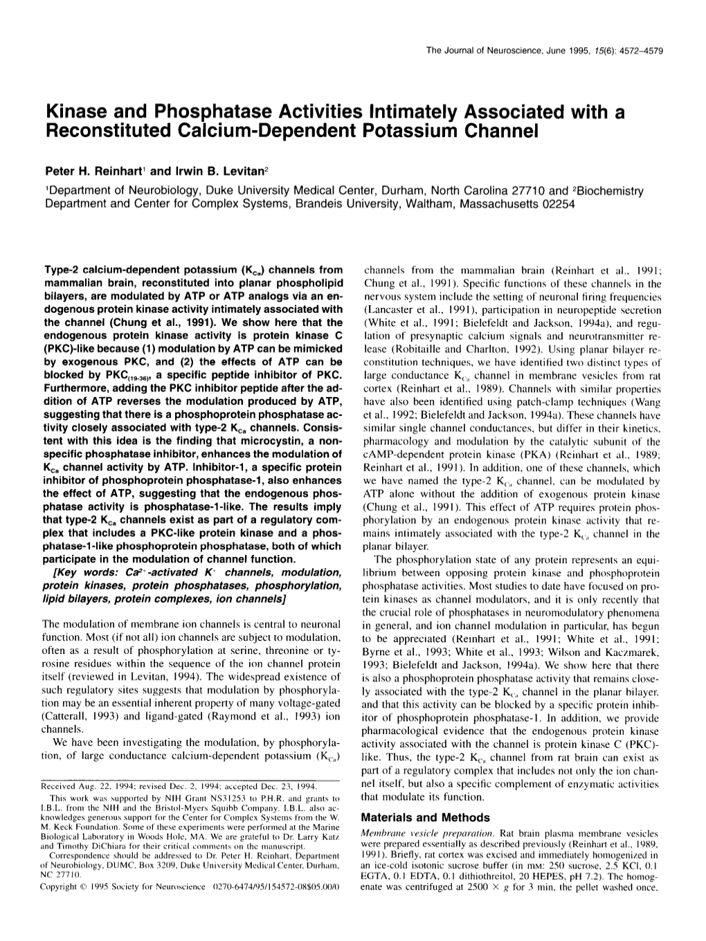 Kinase and Phosphatase Activities Intimately Associated with a Reconstituted Calcium-Dependent Potassium Channel