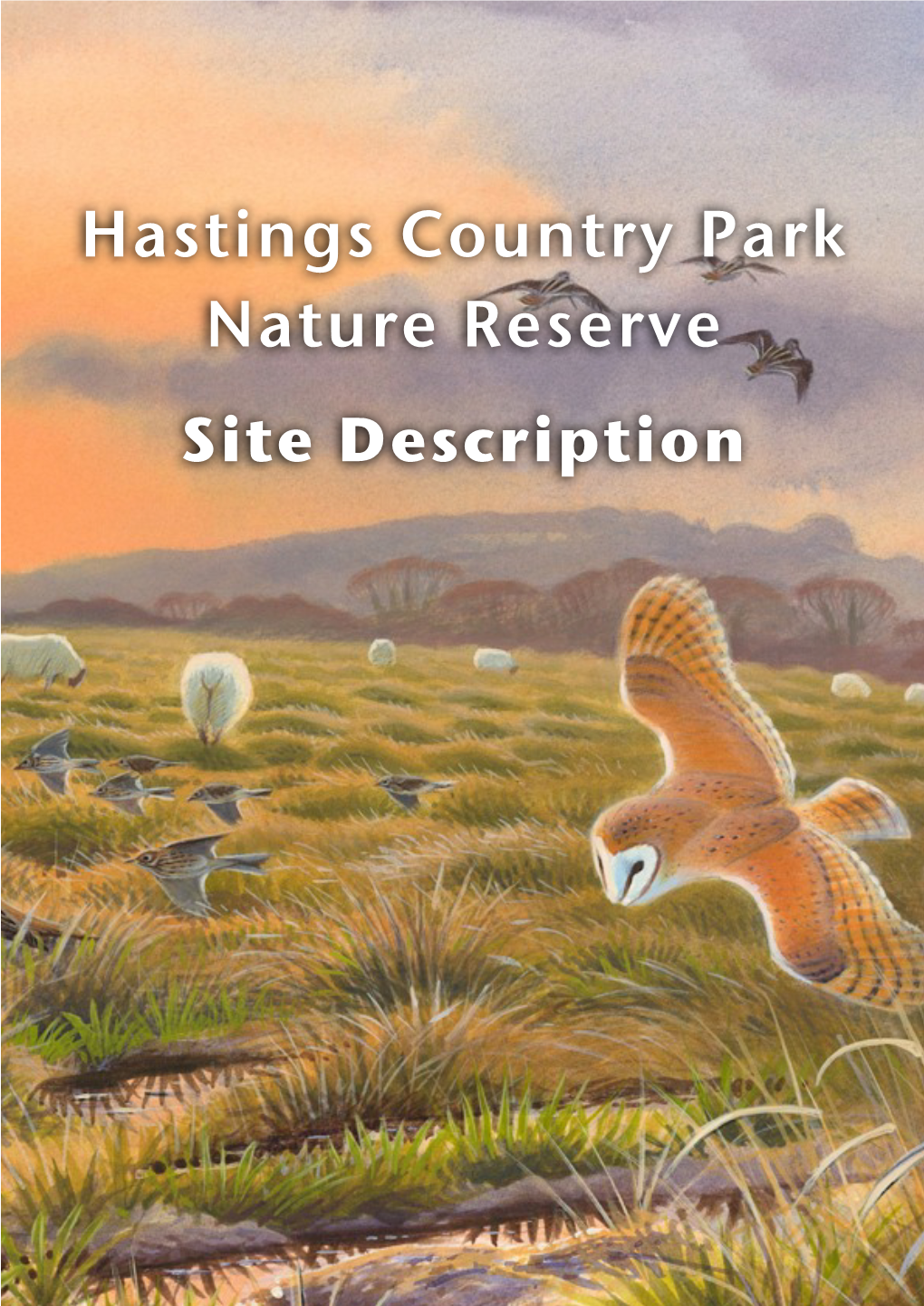 Hastings Country Park Nature Reserve Site Description