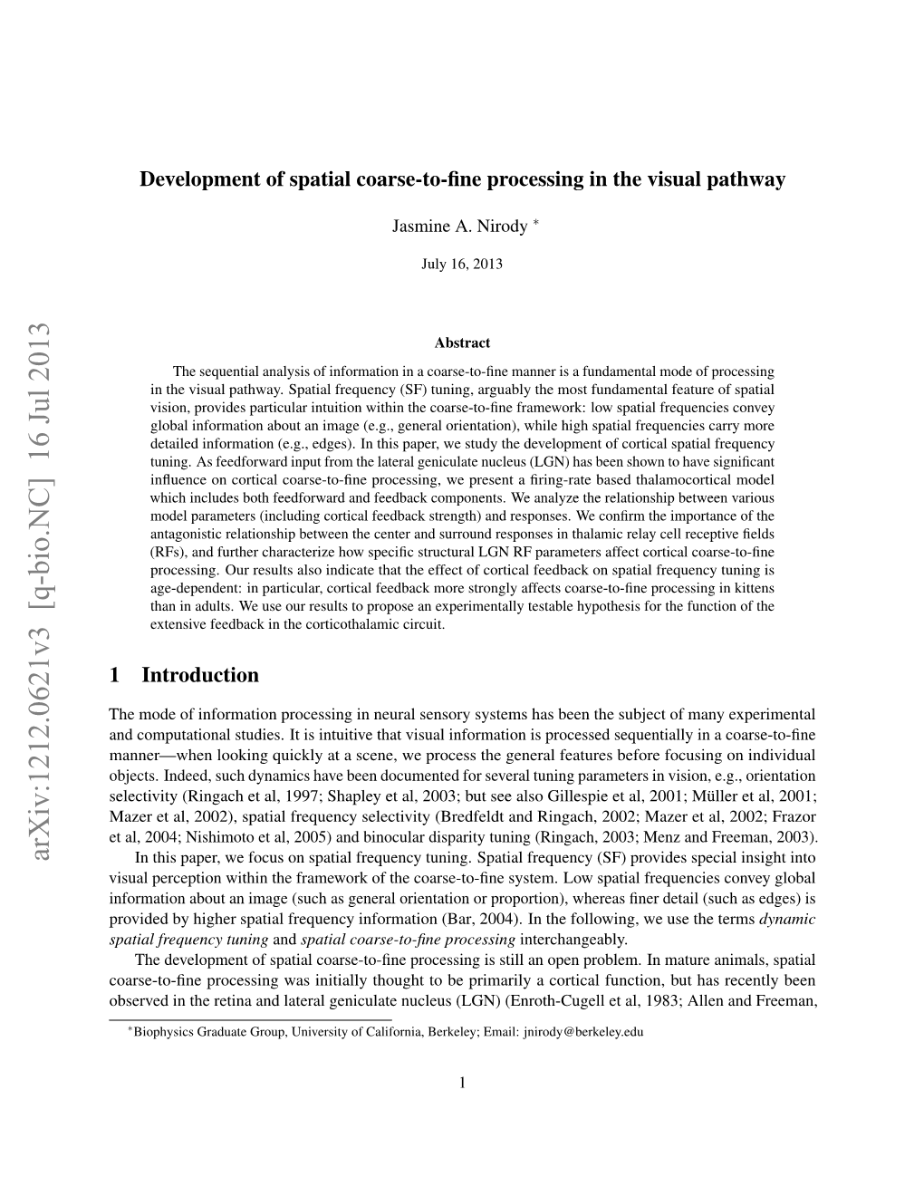 Development of Spatial Coarse-To-Fine Processing in the Visual Pathway