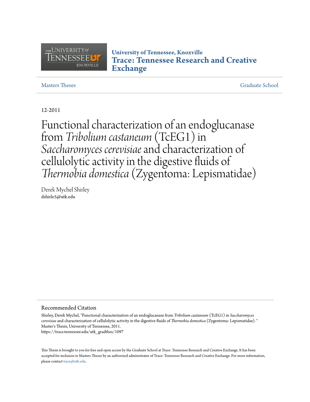 Functional Characterization of an Endoglucanase from <I>Tribolium