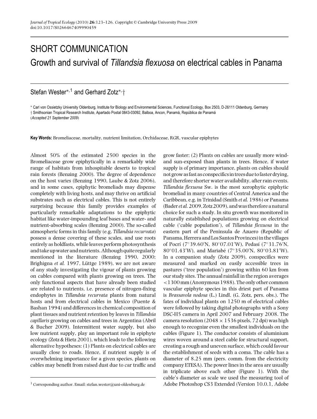Growth and Survival of Tillandsia Flexuosa on Electrical Cables In