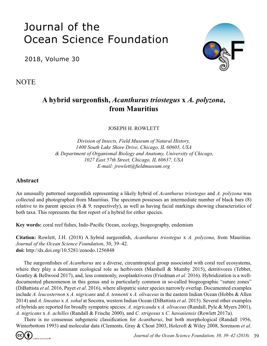 A Hybrid Surgeonfish, Acanthurus Triostegus X A. Polyzona,From