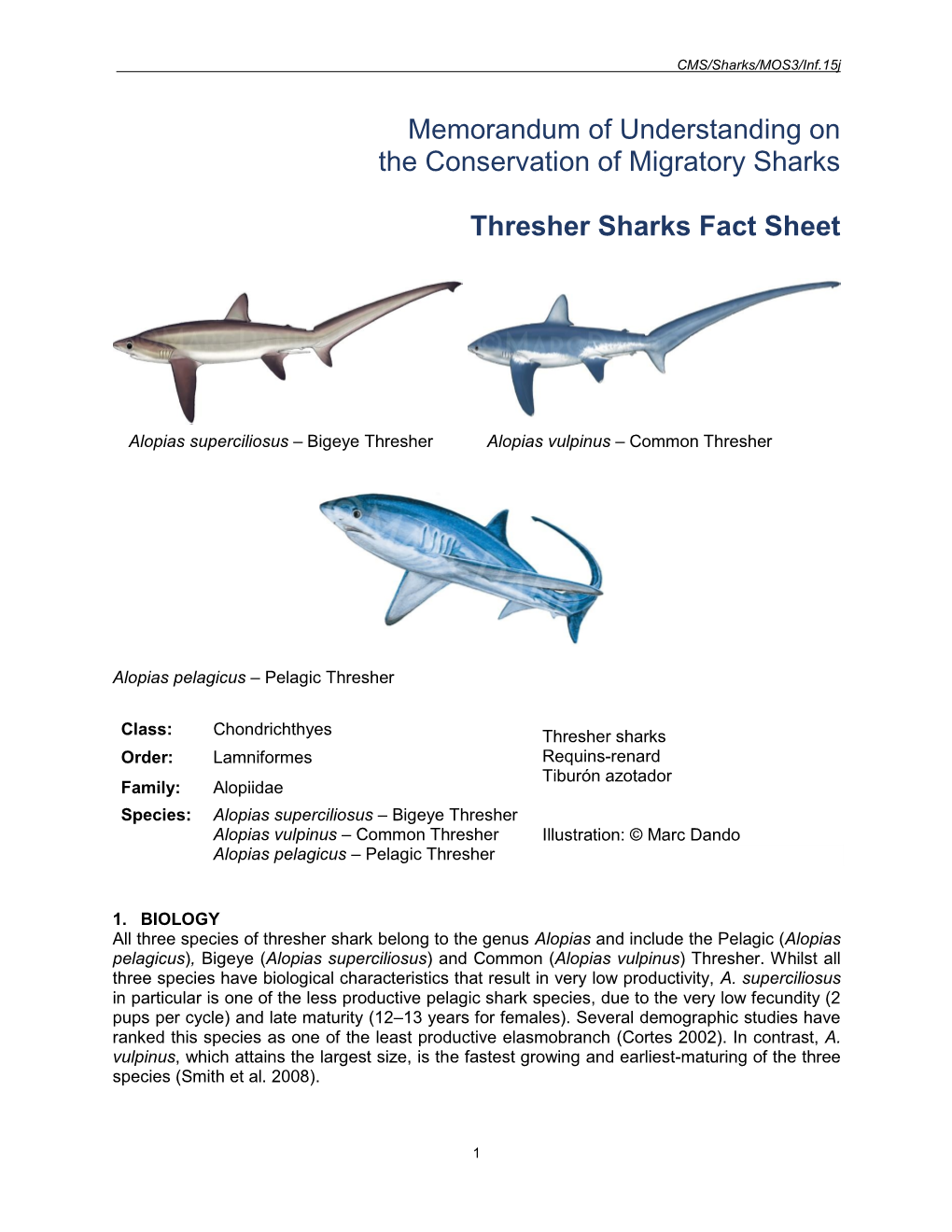 Thresher Sharks Fact Sheet