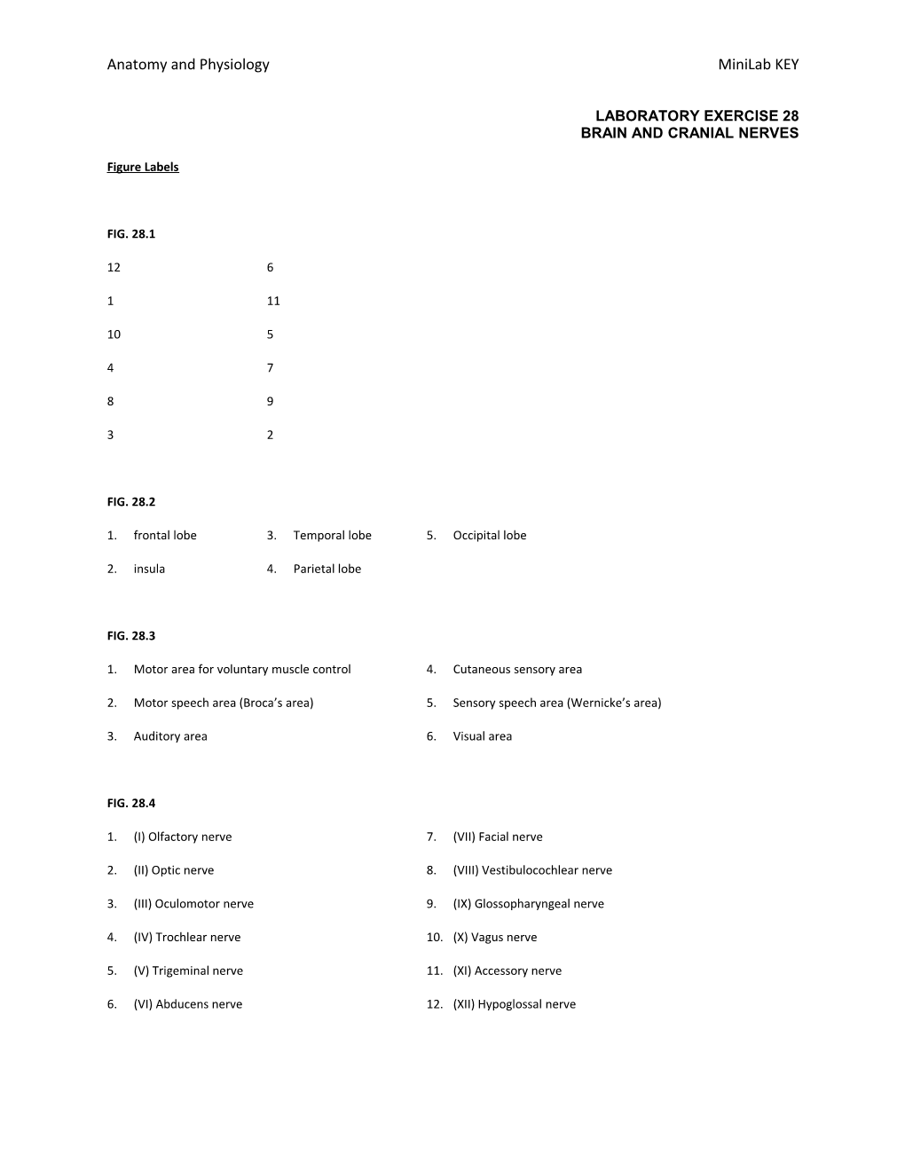 Anatomy and Physiology Minilab KEY