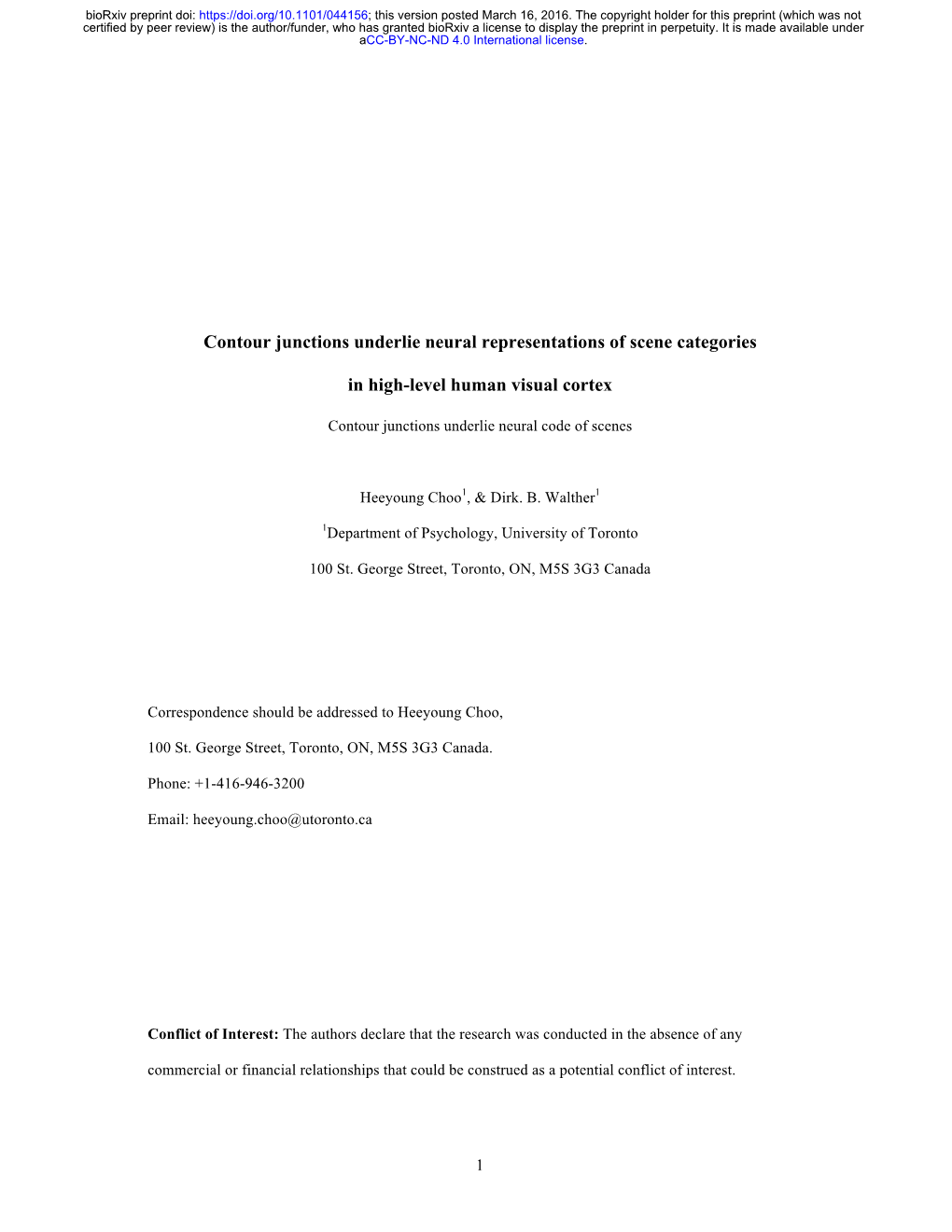 Contour Junctions Underlie Neural Representations of Scene Categories