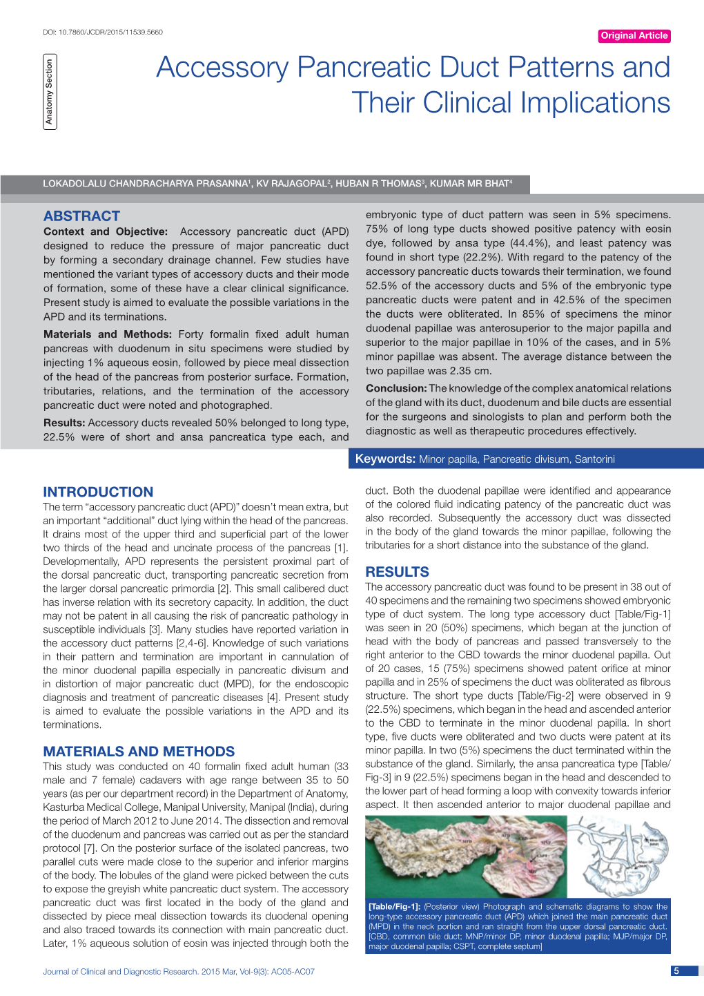 Accessory Pancreatic Duct Patterns and Their Clinical Implications Anatomy Section