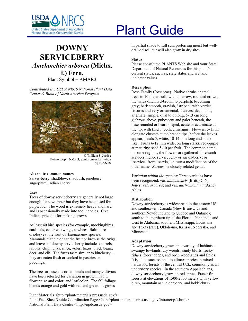 Downy Serviceberry Are Generally Not Large Distribution Enough for Sawtimber but They Have Been Used for Downy Serviceberry Is Widespread in the Eastern US Pulpwood