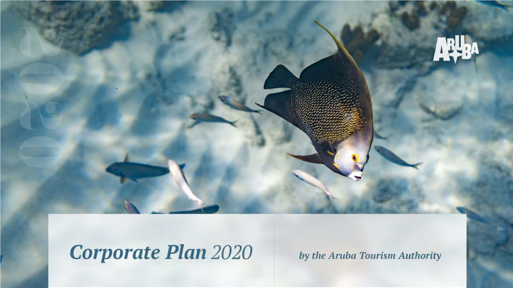 ATA Corporate Plan 2020.Pdf