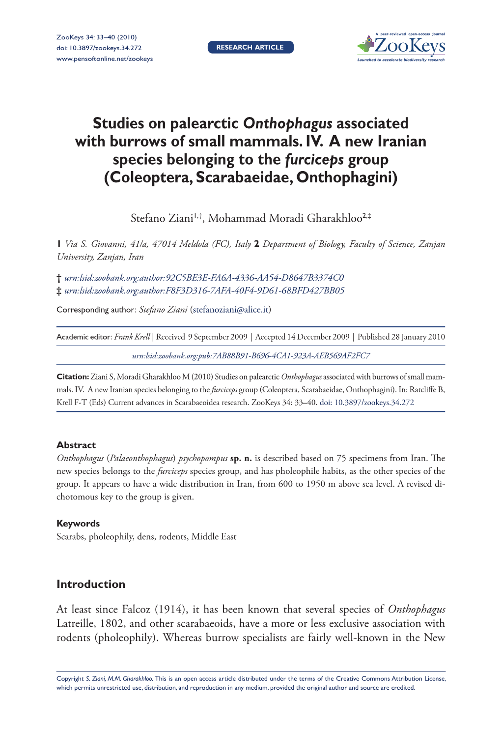 Studies on Palearctic Onthophagusassociated with Burrows of Small Mam-Mals. IV. a New Iranian Species Belonging to the Furciceps Group (Coleoptera, Scarabaeidae, Onthophagini)